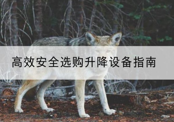 梁子湖升降货梯厂家推荐-*安全选购升降设备指南