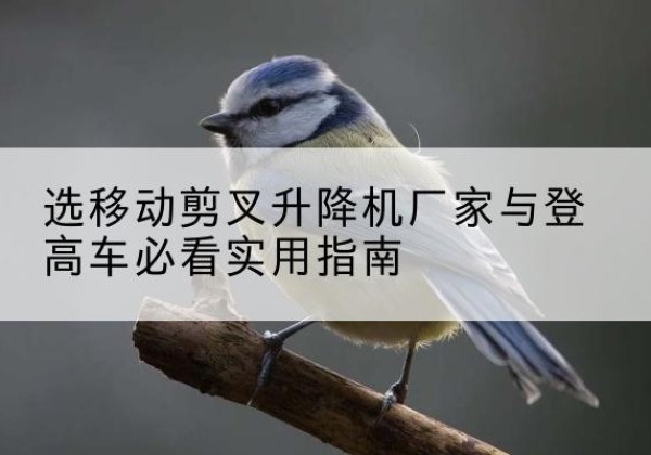 梁子湖电动升降机厂家-选移动剪叉升降机厂家与登高车必看实用指南
