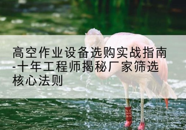 梁子湖剪叉式升降机厂家-高空作业设备选购实战指南-十年工程师揭秘厂家筛选核心法则